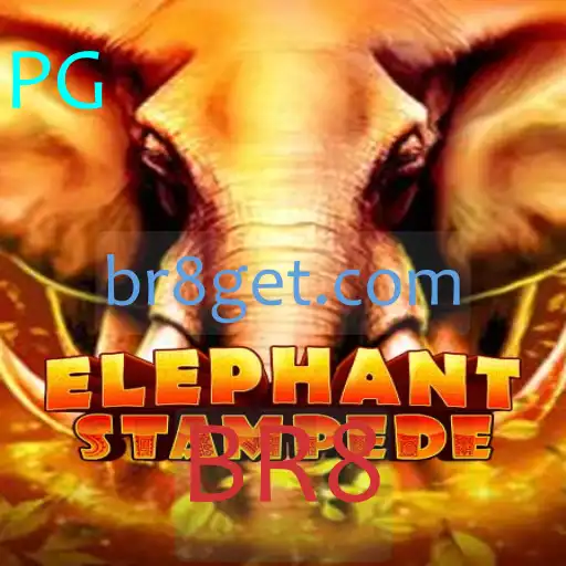 ElephantStampede: A New Wave in Family-Friendly Board Gaming
